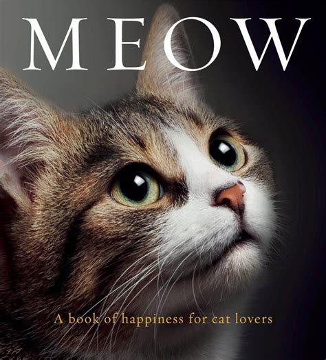 Book Of Cats LeoVegas